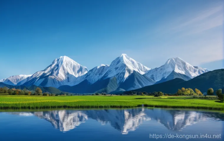 콩순이 연령별 학습 콘텐츠 관련 이미지 1